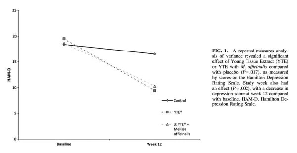 YTE Lowing Depression Study