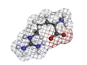 L-Arginine