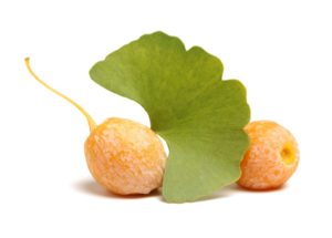 Gingko Biloba